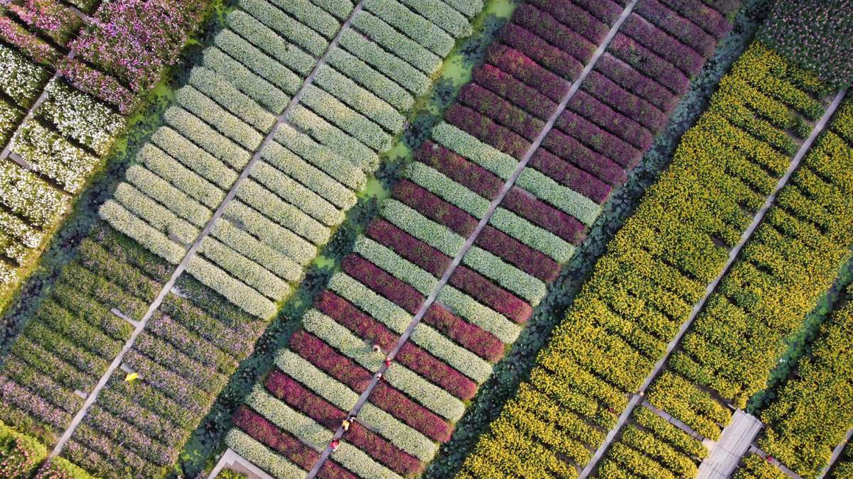 Embrace the vibrant energy of Vietnam’s cultural heritage